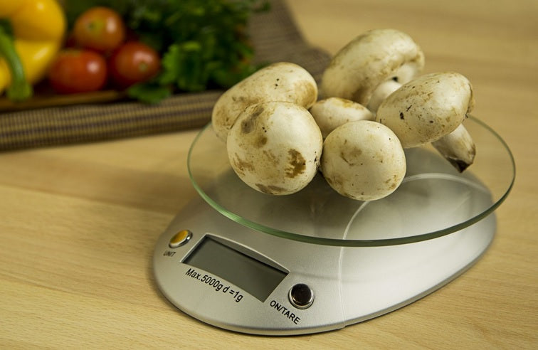 Fox Run Digital Kitchen Scale