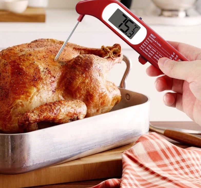 Danesco Folding Digital Meat Thermometer