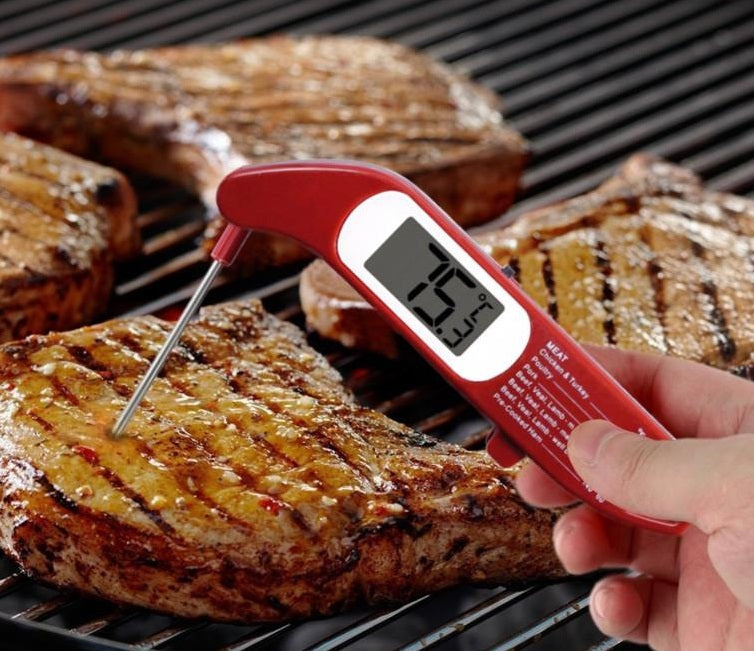 Danesco Folding Digital Meat Thermometer