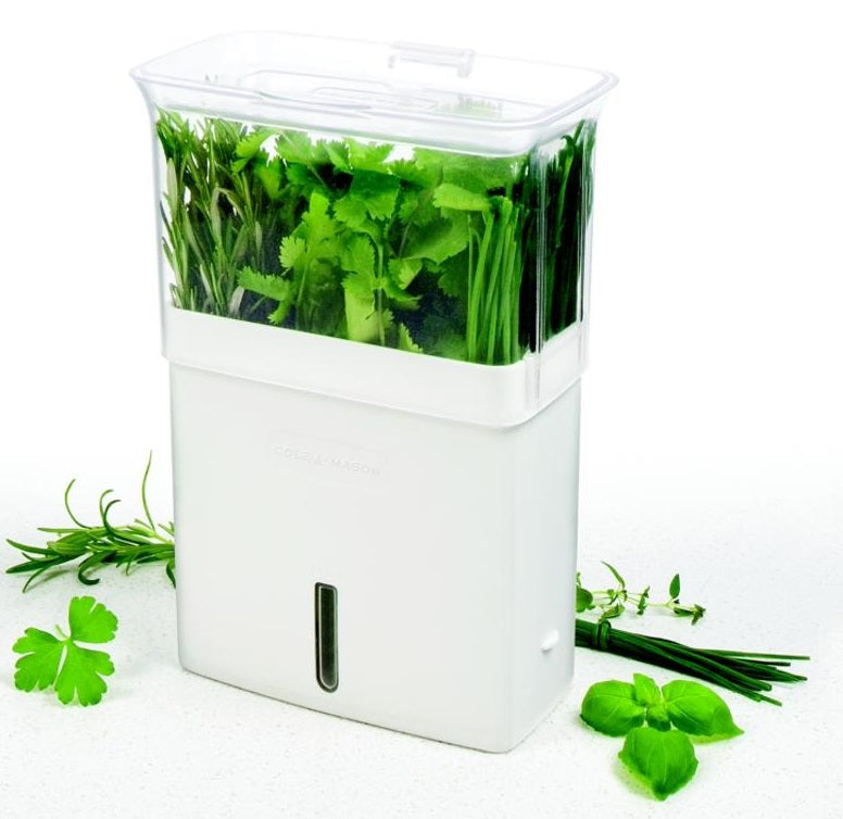 Cole & Mason Fresh Herb Keeper