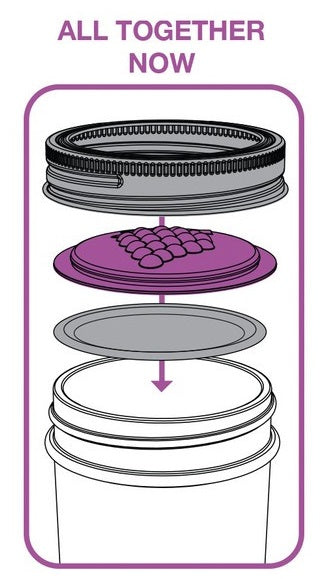 Jarware Set of 4 Grape Mason Jar Lid