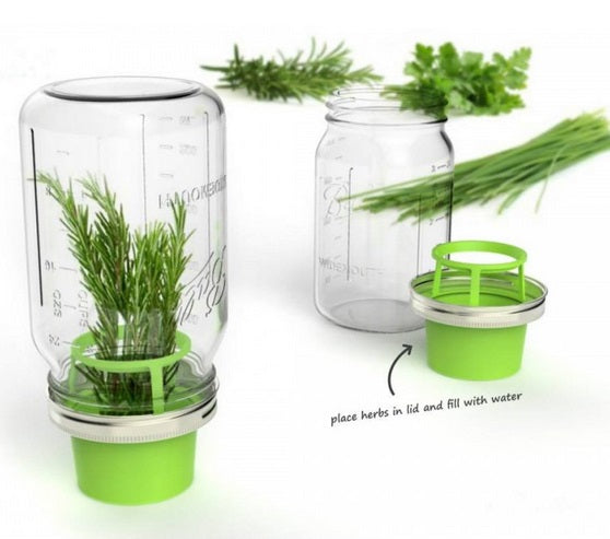 Jarware Herb Saver Mason Jar Lid