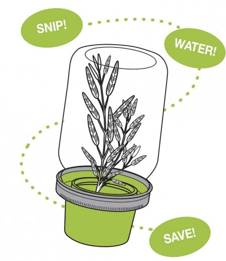 Jarware Herb Saver Mason Jar Lid