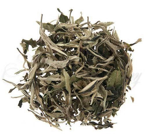 Metropolitan Tea Company Silver Moonlight Wild White Tea 0.55lbs