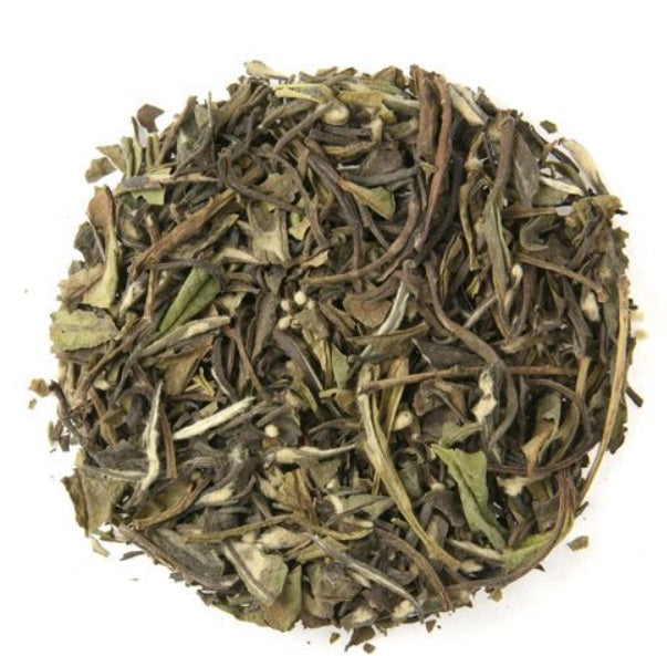 Metropolitan Tea Company Tangiers Lemon White Tea 1.1lbs