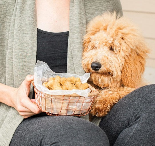 Nordic Ware Puppy Love Dog Bone Cookie Pan