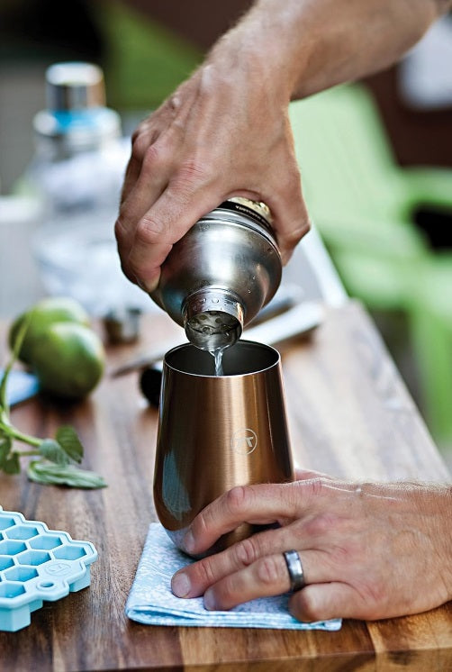 Outset Glass & Stainless Steel Cocktail Shaker with Recipes