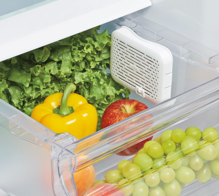 Oxo GreenSaver Crisper Insert