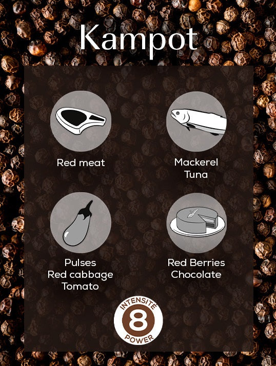 Peugeot Kampot Cambodia Black Pepper 60g