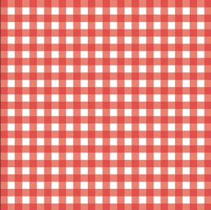 Fox Run Red Gingham French Fry Paper