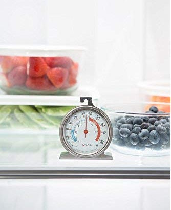 Taylor Dial Fridge & Freezer Thermometer