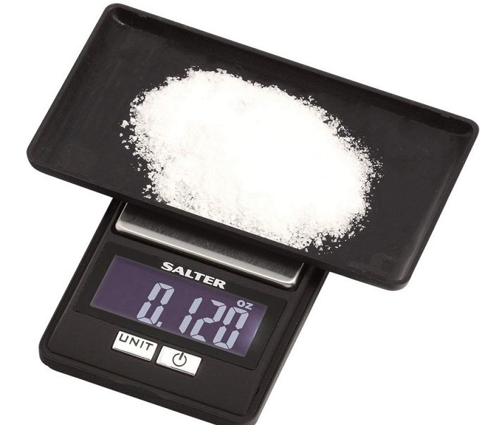 Taylor Precision Digital Diet Scale