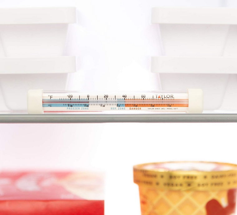 Taylor Fridge & Freezer Thermometer